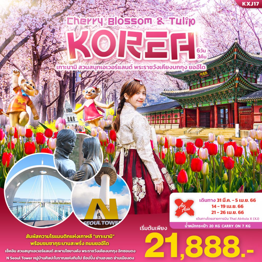 CHERRY BLOSSOM & TULIP KOREA ทัวร์เกาหลี 6 วัน 3 คืน