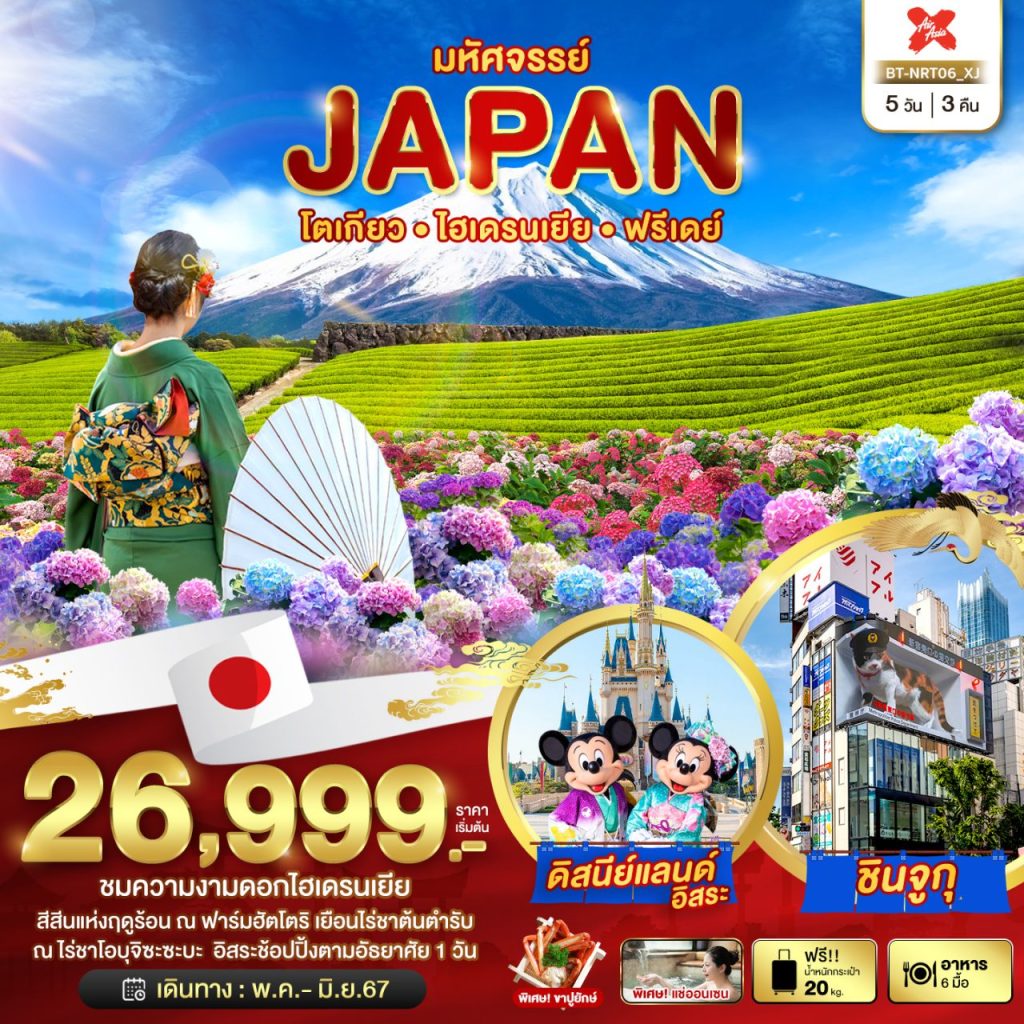โปรแกรมมหัศจรรย์…JAPAN โตเกียว ไฮเดรนเยีย ฟรีเดย์ 5 วัน 3 คืน
